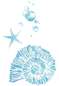 オウムガイのイラスト